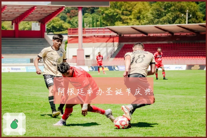 阿根廷举办圣诞节庆典